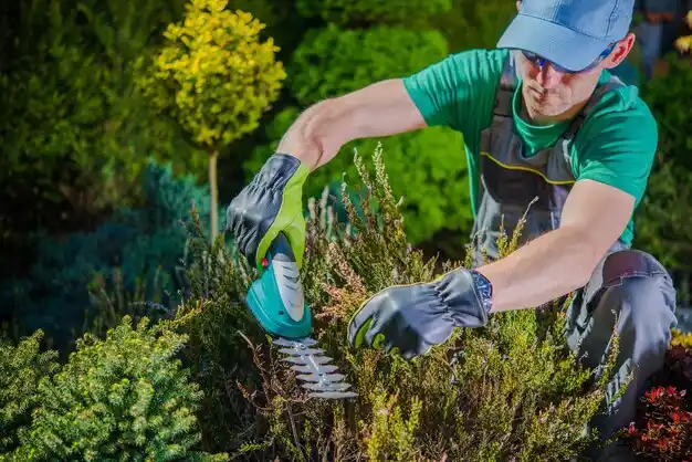 landscaping services Taconic Shores